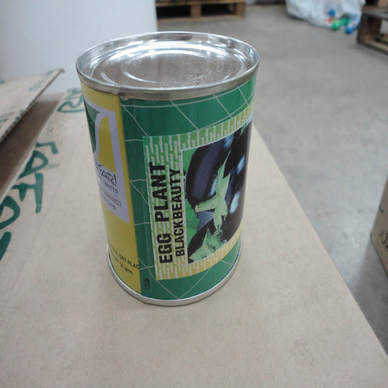 EGG PLANT TIN