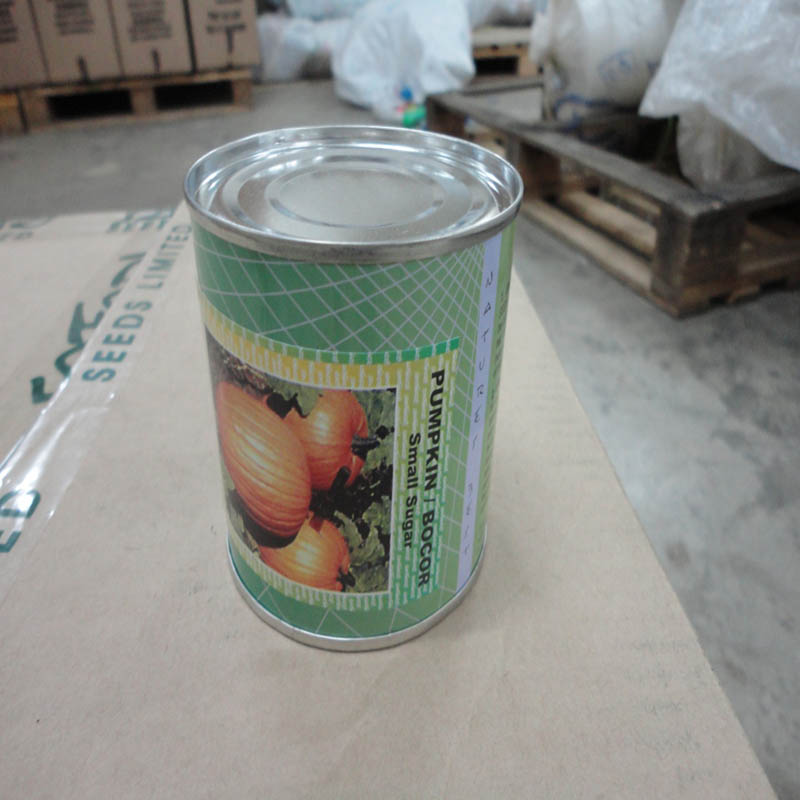 PUMPKIN TIN